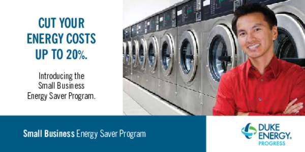 CUT YOUR ENERGY COSTS UP TO 20%. Introducing the Small Business Energy Saver Program.