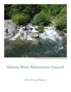 Creek Mouth Enhancement crew looking for fish at the mouth of the Little North Fork  Salmon River Restoration Council 2012 Annual Report  Dear SRRC Community,