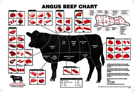 ANGUS BEEF CHART RIB OTHER CUTS Beef for Stew