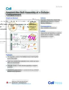 Article  Amyloid-like Self-Assembly of a Cellular Compartment Graphical Abstract