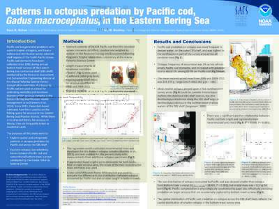 Patterns in octopus predation by Pacific cod, ! Gadus macrocephalus, in the Eastern Bering Sea
 Sean K. Rohan –	
  University	
  of	
  Washington,	
  School	
  of	
  Aqua8c	
  and	
  Fishery	
  Sciences	
  	
