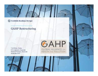 Print cover  GAHP Restructuring Tim Wilkins, Partner Erik Lindemann, Associate