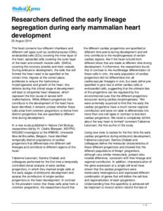 Researchers defined the early lineage segregation during early mammalian heart development