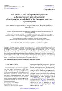 The effects of four crop protection products on the morphology and ultrastructure of the hypopharyngeal gland of the European honeybee, Apis mellifera