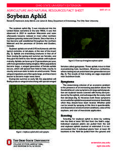 OHIO STATE UNIVERSITY EXTENSION ENTAGRICULTURE AND NATURAL RESOURCES FACT SHEET  Soybean Aphid