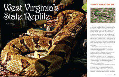 West Virginia’s State Reptile