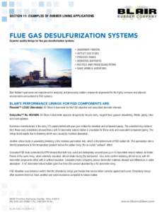 Section 11: Examples of Rubber LIning Applications  FLUE GAS DESULFURIZATION SYSTEMS Superior quality linings for flue gas desulfurization systems  •	Absorber Towers