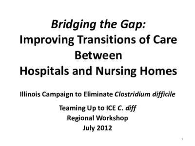 Bridging the Gap: Improving Transitions of Care Between Hospitals and Nursing Homes Illinois Campaign to Eliminate Clostridium difficile Teaming Up to ICE C. diff