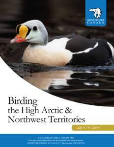 Birding  the High Arctic & Northwest Territories July[removed], 2014 Call us at[removed]or[removed]