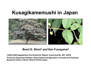 Kusagikamemushi in Japan  Brent D. Short1 and Ken Funayama2 1USDA-ARS  Appalachian Fruit Research Station, Kearneysville, WV 25430