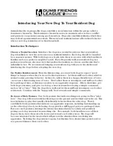 Dog / Scavengers / Working dogs / Dogs / Dog communication / Dog park / Zoology / Biology / Animal communication