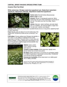 Invasive Plants Fact Sheet