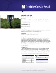 PILLAR ALFALFA Key Features: Pillar is a high yielding alfalfa featuring the unique StandFast® Fast Growth trait that offers up to 30% faster growth than the other competitive alfalfa varieties, resulting in extra cutti