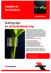 Leaders in horticulture Grafting clips for all horticultural crop Brinkman has designed complete lines of grafting clips for all