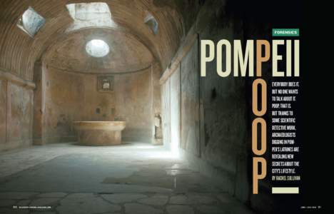 Pompeii / Mount Vesuvius / Toilet / Herculaneum / Garum / Stabiae / Ruins / Campania / Ancient cities / Italy