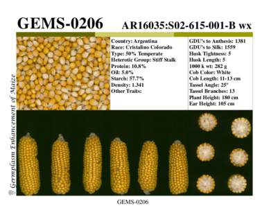 Germplasm Enhancement of Maize  GEMS-0206 AR16035:S02B wx Country: Argentina