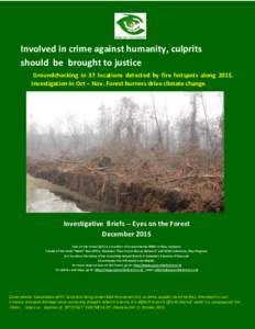 Involved in crime against humanity, culprits should be brought to justice Groundchecking in 37 locations detected by fire hotspots alongInvestigation in Oct – Nov. Forest burners drive climate change  Investigat