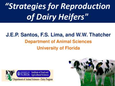 “Strategies for Reproduction of Dairy Heifers