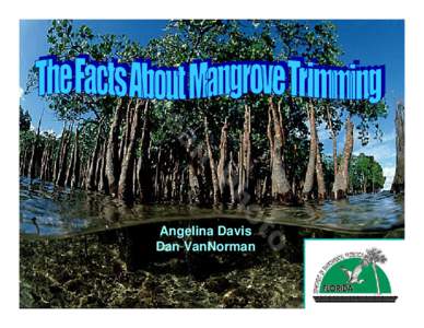 Microsoft PowerPoint - Facts_About_Mangroves_enforcement_short.ppt [Read-Only]