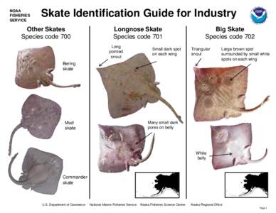 Skate Identification Guide for Industry