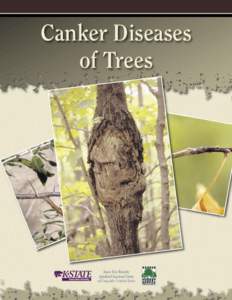 MF2658 Canker Diseases of Trees