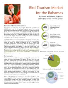 Bird Tourism Market for the Bahamas Royal Flycatcher Dan Lipp  Economic and Market Snapshot