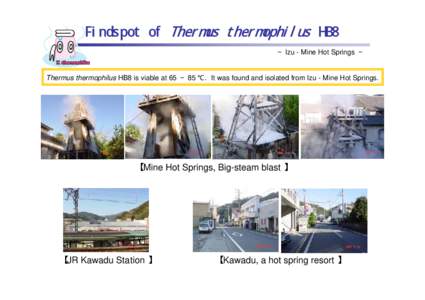 Findspot of Thermus thermophilus HB8 ∼ Izu - Mine Hot Springs ∼ Thermus thermophilus HB8 is viable at 65 ∼ 85 ℃. It was found and isolated from Izu - Mine Hot Springs.  【 Mine Hot Springs, Big-steam blast 】