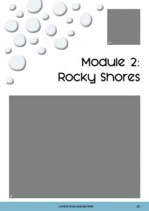 Module 2: Rocky Shores CAPE BYRON MARINE PARK  23