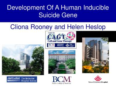 Development Of A Human Inducible Suicide Gene Cliona Rooney and Helen Heslop Need For A Suicide Gene • Increasing use of Cell Therapies