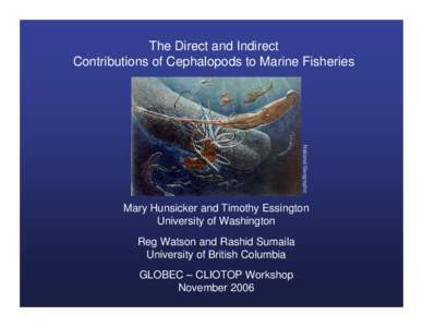 The Direct and Indirect Contributions of Cephalopods to Marine Fisheries National Geographic  Mary Hunsicker and Timothy Essington