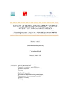 IMPACTS OF BIOFUELS DEVELOPMENT ON FOOD SECURITY IN SUB-SAHARAN AFRICA Modeling Income Effects in a Partial Equilibrium Model Master Thesis Environmental Engineering