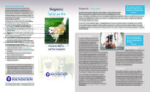 How You Can Help Your Pet For all four of the diseases discussed, the best way you can help your pet throughout a neurological disease is to dedicate yourself to providing proper drug administration and frequent drug lev