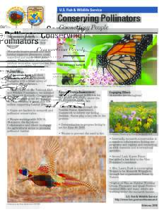 U.S. Fish & Wildlife Service  Conserving Pollinators Connecting People  The monarch butterfly is our flagship