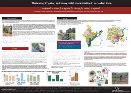Wastewater irrigation and heavy metal contamination in peri-urban india F. Marshall1, R. Sharma,2 M. Agrawal, 2 D S Bhupal, 3 C. Ghose,1 R Agarwal4 1. University of Sussex, Brighton, UK; 2. Banaras Hindu University, Vara