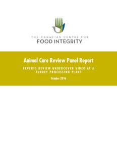 Animal Care Review Panel Report e x p e r t s r e v i e w u n d e rc o v e r v i d e o a t a Turkey Processing Plant October 2016  Expert Panel Examines Hidden Camera Turkey Plant Video