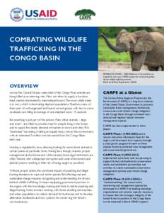 Combating Wildlife Trafficking_Factsheet_2015