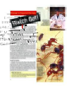 SCOTT BAUER (K8575-1)  Message to Imported Fire Ants ! t