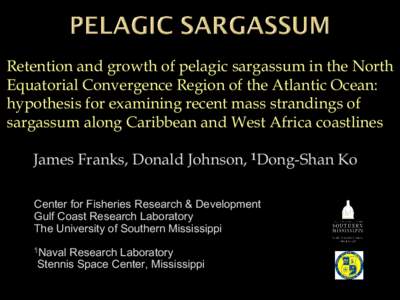 Retention and growth of pelagic sargassum in the North Equatorial Convergence Region of the Atlantic Ocean: hypothesis for examining recent mass strandings of sargassum along Caribbean and West Africa coastlines James Fr