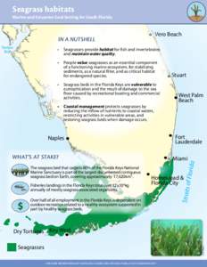 Seagrass habitats  Marine and Estuarine Goal Setting for South Florida Lake Kissimmee
