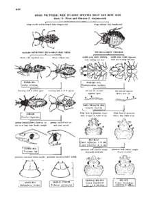 .94  BUGS: PICTORIAL KEY TO SOME SPECIES THAT MAY BITE MAN Harry D. Pratt and Chester J. stojanovich i