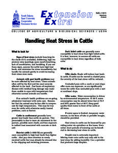 Handling Heat Stress in Cattle