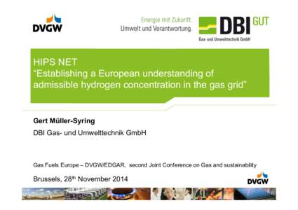 HIPS NET “Establishing a European understanding of admissible hydrogen concentration in the gas grid” Gert Müller-Syring DBI Gas- und Umwelttechnik GmbH
