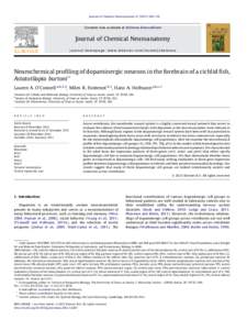 Neurochemical profiling of dopaminergic neurons in the forebrain of a cichlid fish, Astatotilapia burtoni