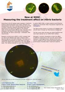 New at NIOZ: Measuring the treatment effect on Vibrio bacteria According to the D2 ballast water standard, treatment systems should discharge toxic Vibrio cholerae at a concentration less than 1 colony forming unit per 1