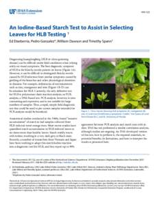 HS1122  An Iodine-Based Starch Test to Assist in Selecting Leaves for HLB Testing 1 Ed Etxeberria, Pedro Gonzalez*, William Dawson and Timothy Spann2