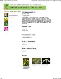 IPANE - Catalog of Species Search Results