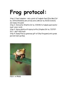 Frog protocol: Step 1: Feed tadpoles – dab a pinch of tadpole food (Zoo Med Cat noonto sticky note (3M Cat no. R330-6SSUC) and dump into pond Step 2: Add water (Nestle Cat noto tadpole pool (w