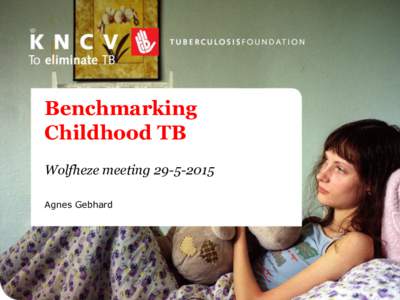 Benchmarking Childhood TB Wolfheze meetingAgnes Gebhard  Benchmarking of childhood TB