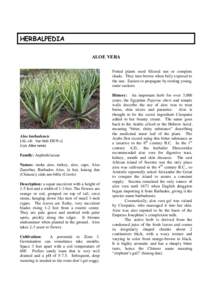 Botany / Succulent plants / Aloe vera / Flora / Aloe / Aloin / Sap / Aloe buettneri