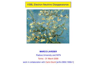 VSBL Electron Neutrino Disappearance  MARCO LAVEDER Padova University and INFN Torino - 31 March 2009 work in collaboration with Carlo Giunti [arXiv:0902.1992v1]